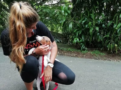 Voluntariado - Animal Rescue Center Costa Rica