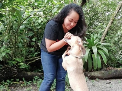 Voluntariado - Animal Rescue Center Costa Rica