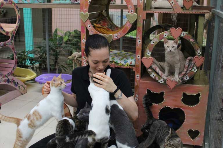 Quienes somos - Animal Rescue Center Costa Rica
