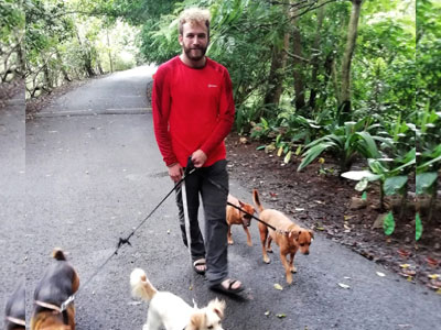 Volunteer - Animal Rescue Center Costa Rica